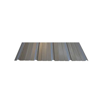 SM-RIB